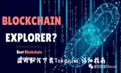 国内如何下载Tokenim：详细