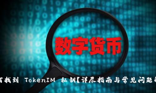如何找到 TokenIM 私钥？详尽指南与常见问题解答