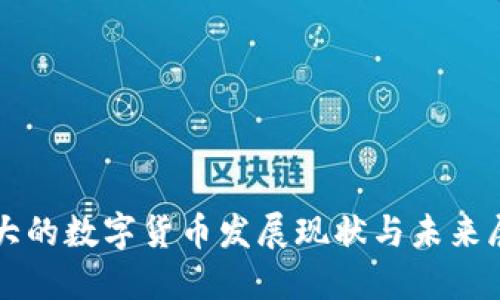 华大的数字货币发展现状与未来展望