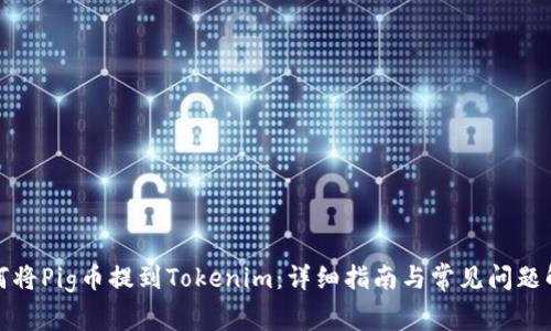 如何将Pig币提到Tokenim：详细指南与常见问题解答