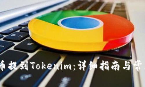 如何将Pig币提到Tokenim：详细指南与常见问题解答