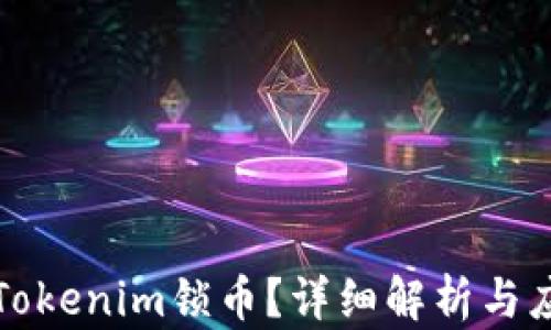 什么是Tokenim锁币?详细解析与应用前景
