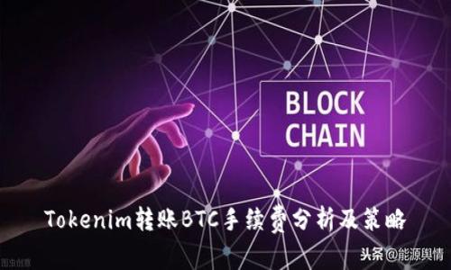 Tokenim转账BTC手续费分析及策略