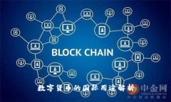 数字货币的国际用途解析