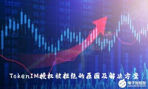 TokenIM授权被拒绝的原因及解决方案