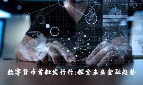 数字货币首批发行行:探索未来金融趋势