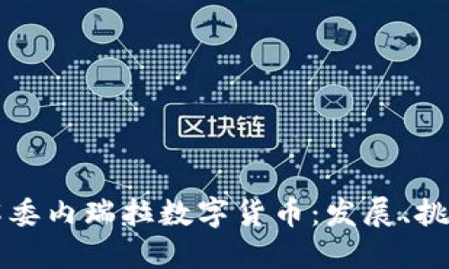 深入了解委内瑞拉数字货币:发展、挑战与未来