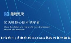 如何将Pig币提取到Tokenim钱