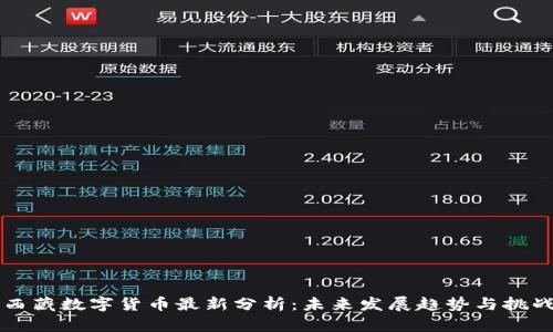 西藏数字货币最新分析:未来发展趋势与挑战