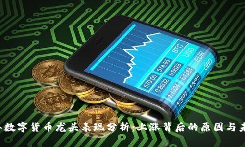 2020年数字货币龙头表现分析:上涨背后的原因与未来展望