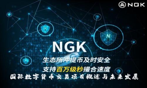 国际数字货币交易项目概述与未来发展