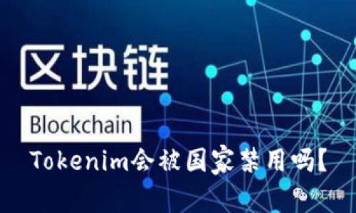 Tokenim会被国家禁用吗?