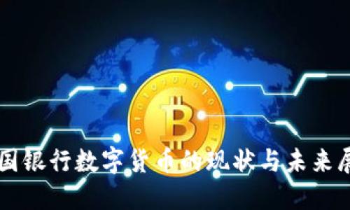 中国银行数字货币的现状与未来展望
