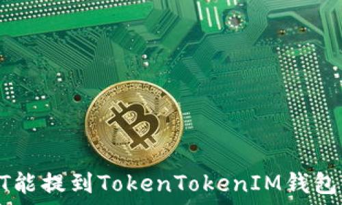 DOT能提到TokenTokenIM钱包吗?