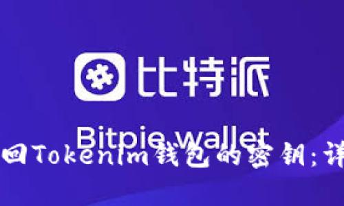 如何找回Tokenim钱包的密钥：详细指南