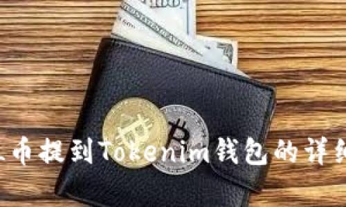 如何将FIL币提到Tokenim钱包的详细流程分析