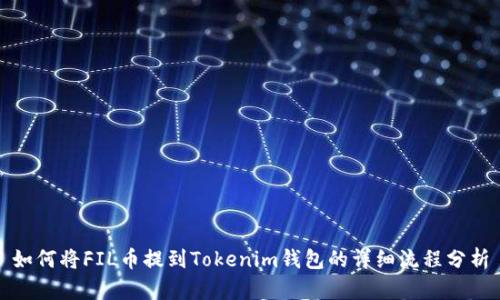 如何将FIL币提到Tokenim钱包的详细流程分析