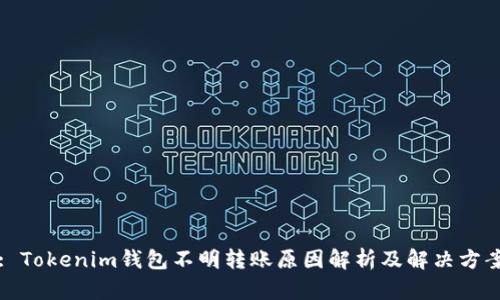 : Tokenim钱包不明转账原因解析及解决方案