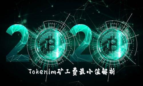 Tokenim矿工费最小值解析