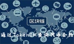 如何通过TokenIM查询代币合