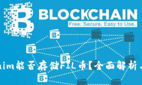 Tokenim能否存储FIL币？全面解析与指南