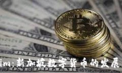   Tokenim：新加坡数字货币