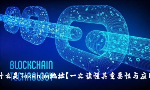 什么是Tokenim地址？一文读懂其重要性与应用