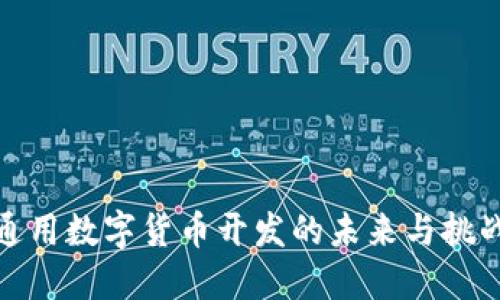 通用数字货币开发的未来与挑战