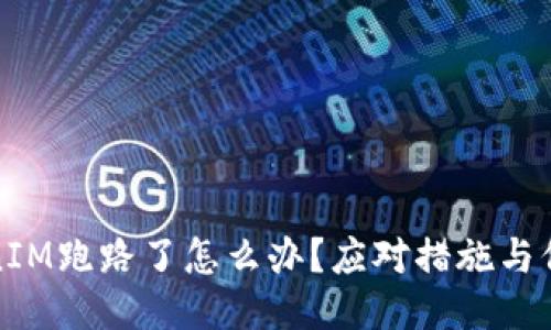 : TokenIM跑路了怎么办？应对措施与保障指南