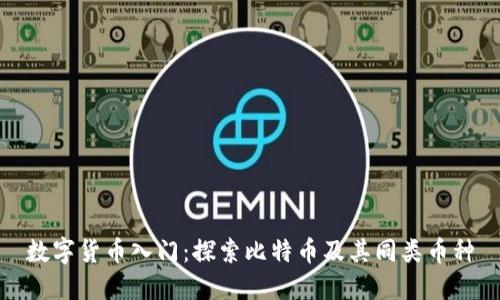 数字货币入门：探索比特币及其同类币种