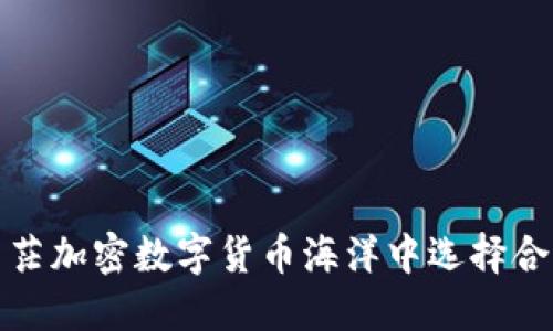 如何在茫茫加密数字货币海洋中选择合适的投资
