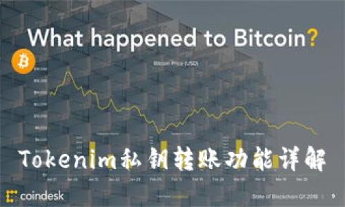 Tokenim私钥转账功能详解