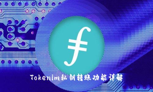 Tokenim私钥转账功能详解