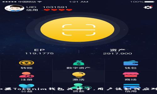 如果Tokenim钱包关停了，用户该如何应对？