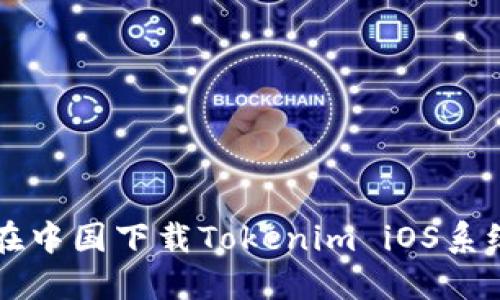 如何在中国下载Tokenim iOS系统应用