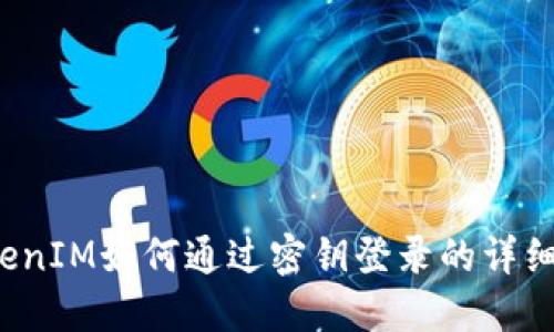  TokenIM如何通过密钥登录的详细指南