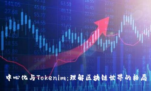 中心化与Tokenim：理解区块链世界的格局