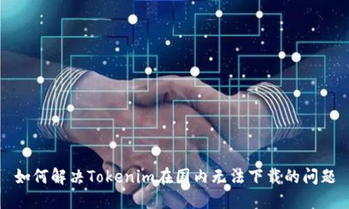 如何解决Tokenim在国内无法下载的问题