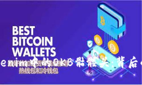 深入探讨Tokenim中的OKB骷髅头：背后的意义与潜力