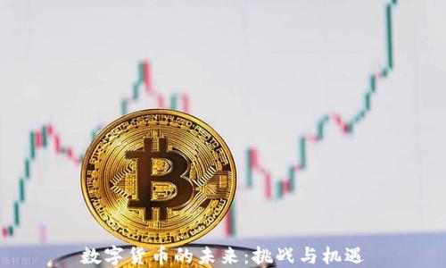
数字货币的未来：挑战与机遇