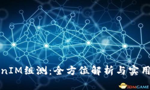 TokenIM组测：全方位解析与实用指南
