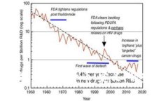 法定货币支持的数字货币