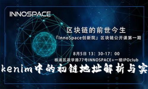 Tokenim中的初链地址解析与实践