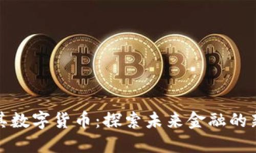 土耳其数字货币：探索未来金融的新机遇