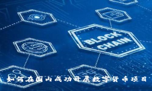 如何在国内成功开展数字货币项目