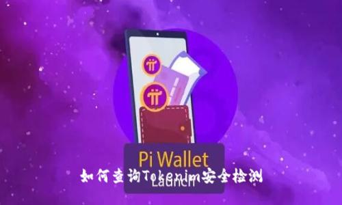 如何查询Tokenim安全检测