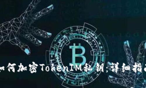 如何加密TokenIM私钥：详细指南