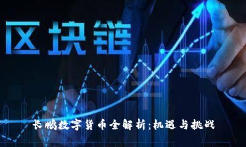长鹏数字货币全解析：机遇与挑战