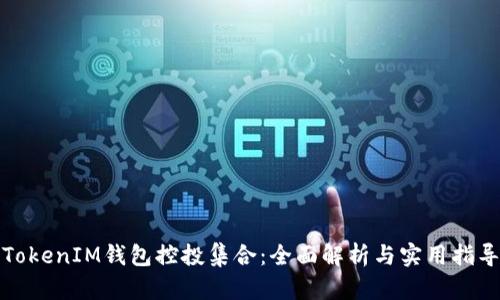 TokenIM钱包控投集合：全面解析与实用指导
