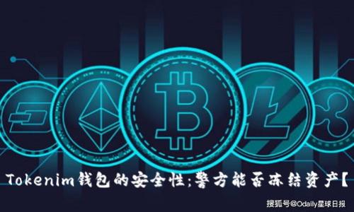 Tokenim钱包的安全性：警方能否冻结资产？